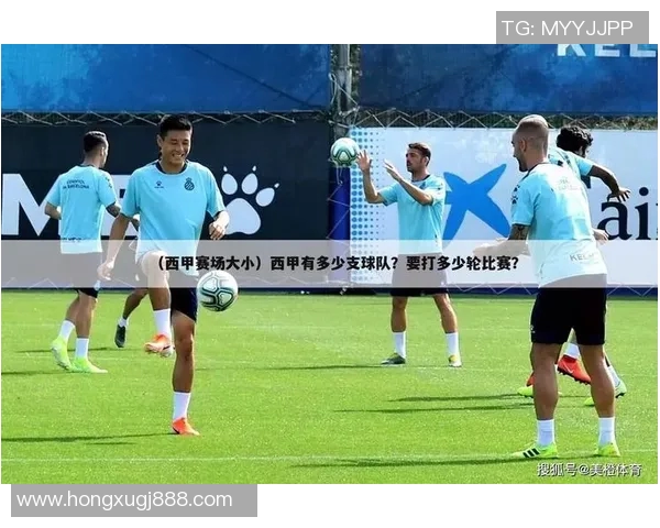 足球明星各自踢什么位置揭秘他们在场上的角色与贡献分析