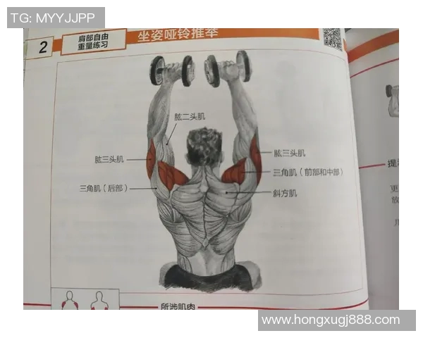 哑铃推胸锻炼的主要肌肉群解析及其健身效果详解
